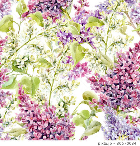 Watercolor lilac pattern 30570034