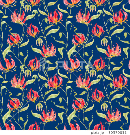 Watercolor gloriosa rothschildiana pattern Watercolor gloriosa rothschildiana pattern 30570051
