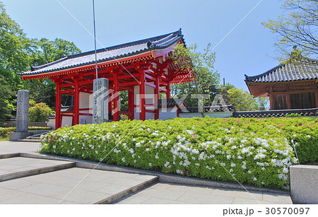 屋島寺 東大門 屋島寺 東大門 30570097