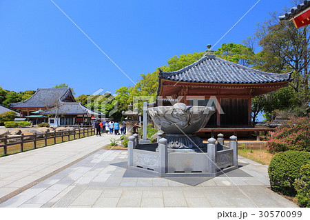 屋島寺 屋島寺 30570099