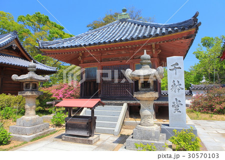 屋島寺 千体堂 屋島寺 千体堂 30570103