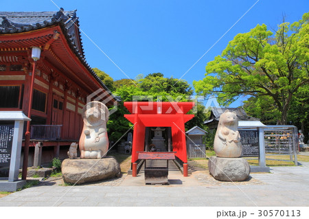 屋島寺の太三郎狸(蓑山大明神) 屋島寺の太三郎狸(蓑山大明神) 30570113