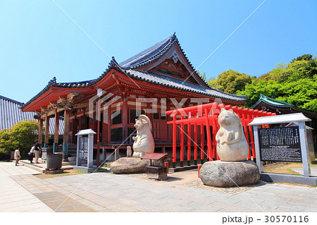 屋島寺の太三郎狸（蓑山大明神） 30570116