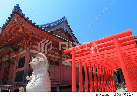 屋島寺の太三郎狸（蓑山大明神） 30570117