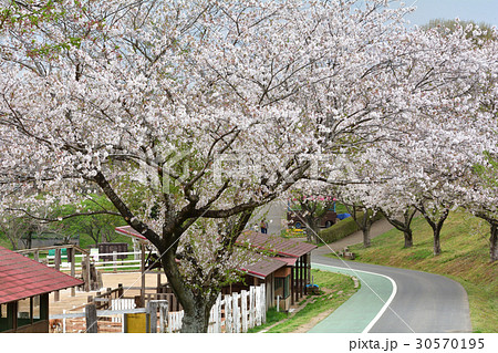 成田ゆめ牧場 成田ゆめ牧場 30570195