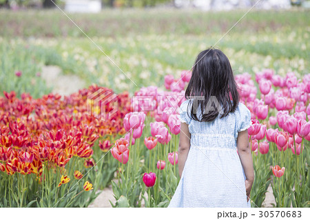 花畑と女の子の写真素材