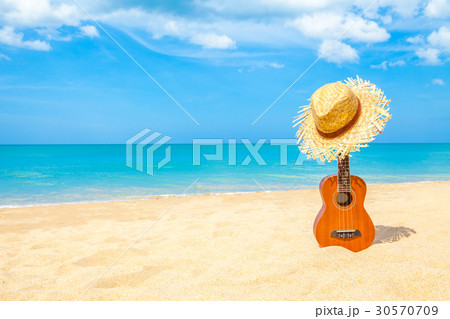 Ukulele on the beautiful summer beach 30570709