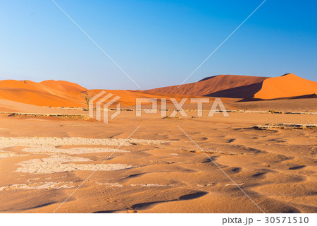 The scenic Sossusvlei and Deadvlei, Namibia 30571510