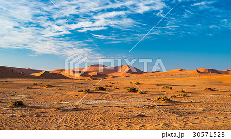 The scenic Sossusvlei and Deadvlei, Namibia 30571523