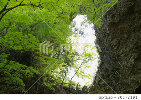 香川県小豆島町 寒霞渓 石門(裏8景 第3景) 香川県小豆島町 寒霞渓 石門(裏8景 第3景) 30572191