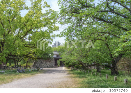 和歌山城 30572740