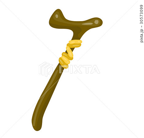Walking stick isolated illustration Walking stick isolated illustration 30573099