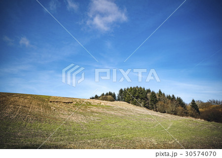 Rural landscape with trees on a hill Rural landscape with trees on a hill 30574070