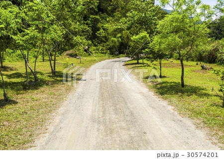 path in green forest 30574201