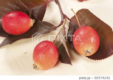 Crab (Paradise) apples Crab (Paradise) apples 30574242