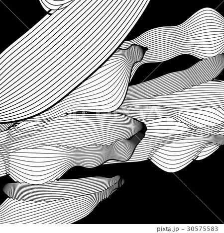 Abstract black and white background optical  30575583