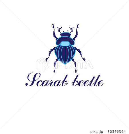 Vector Scarab beetle 30576344