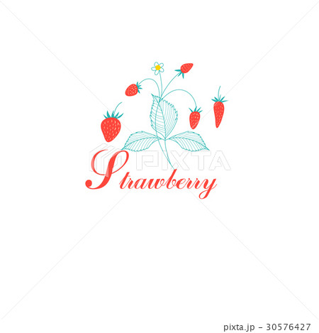 Vector red strawberries 30576427