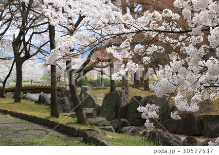 川中島古戦場跡の八幡原史跡公園 30577537