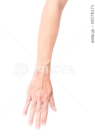 Man arm with blood veins on white background Man arm with blood veins on white background 30578171