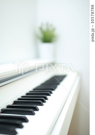 ピアノ 楽器 音楽 (オルガン チェンバロ ハープシコード MIDI シンセサイザー 鍵盤 植物) 30578766