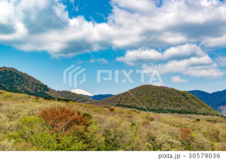箱根の風景(箱根、強羅) 箱根の風景(箱根、強羅) 30579036