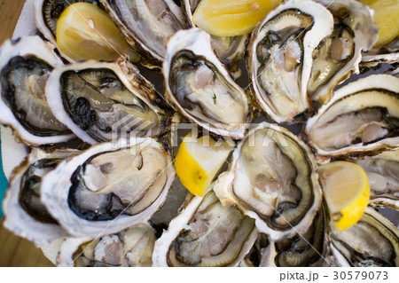 oysters on plate top view oysters on plate top view 30579073
