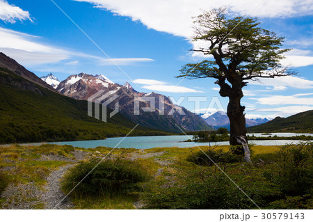 Vegetation on Andes foothills and slopes Vegetation on Andes foothills and slopes 30579143