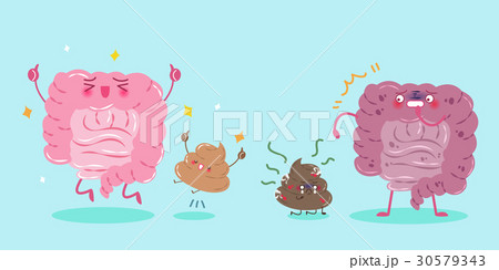 intestine with health concept 30579343