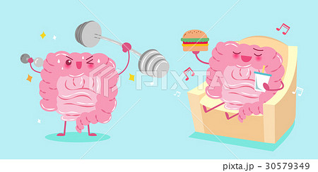 intestine with health concept 30579349