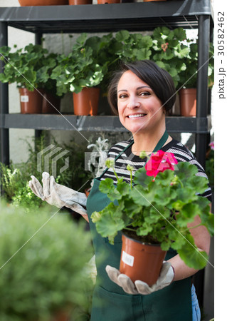 florist holding pot with flower 30582462
