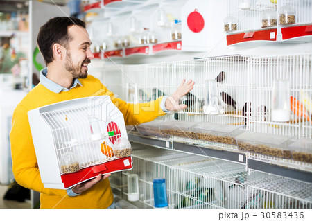 Smiling man choosing pretty bird Smiling man choosing pretty bird 30583436