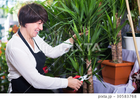 Positive shop assistant displaying yucca palms 30583768