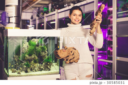 Girl in aquarium store choosing brown petrified wood Girl in aquarium store choosing brown petrified wood 30585031