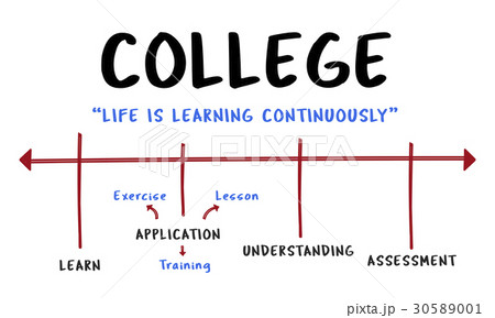 Education College Literacy Knowledge Acquisition 30589001