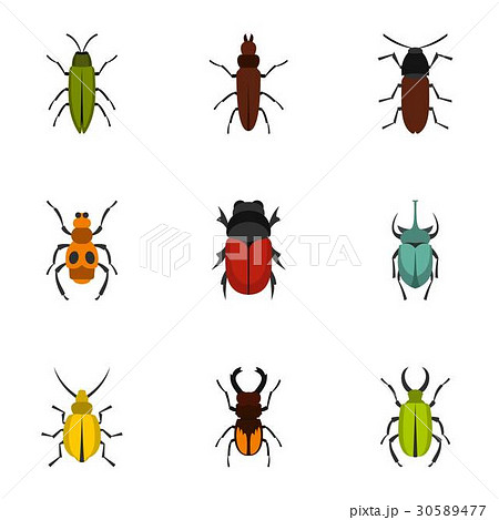 Insect icons set, flat style 30589477