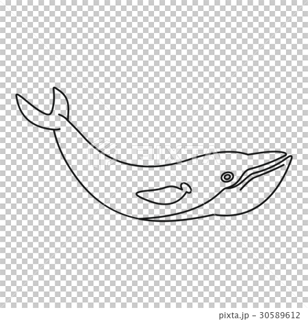 Whale Fish Icon Outline Styleのイラスト素材