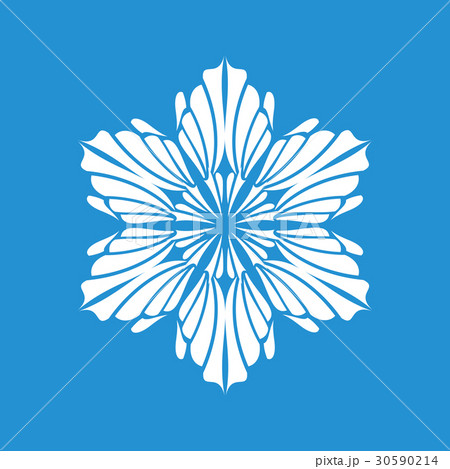 Winter snowflake icon, simple style Winter snowflake icon, simple style 30590214