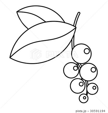 Currant branch with leaves icon, outline style Currant branch with leaves icon, outline style 30591194