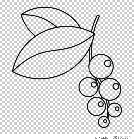 Currant branch with leaves icon, outline style Currant branch with leaves icon, outline style 30591194