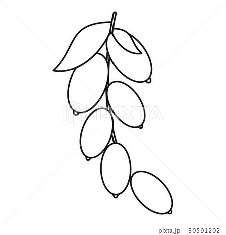 Dogwood berries icon, outline style Dogwood berries icon, outline style 30591202