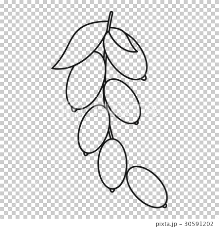 Dogwood berries icon, outline style Dogwood berries icon, outline style 30591202