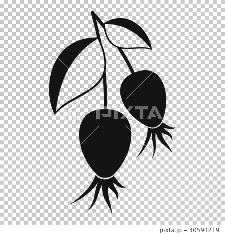 Dogrose berries branch icon, simple style Dogrose berries branch icon, simple style 30591219