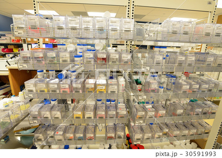 カナダ　トロント　病院 30591993