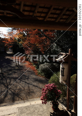 常照寺の紅葉 30592281
