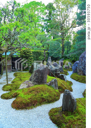 坂本里坊・瑞應院 30593750