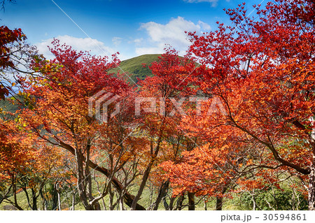 鈴鹿山脈の竜ヶ岳 30594861