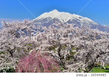 岩木川河川公園 岩木川河川公園 30594985
