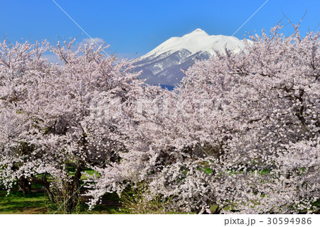 岩木川河川公園 岩木川河川公園 30594986