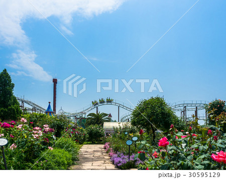 枚方パークのバラ園 30595129